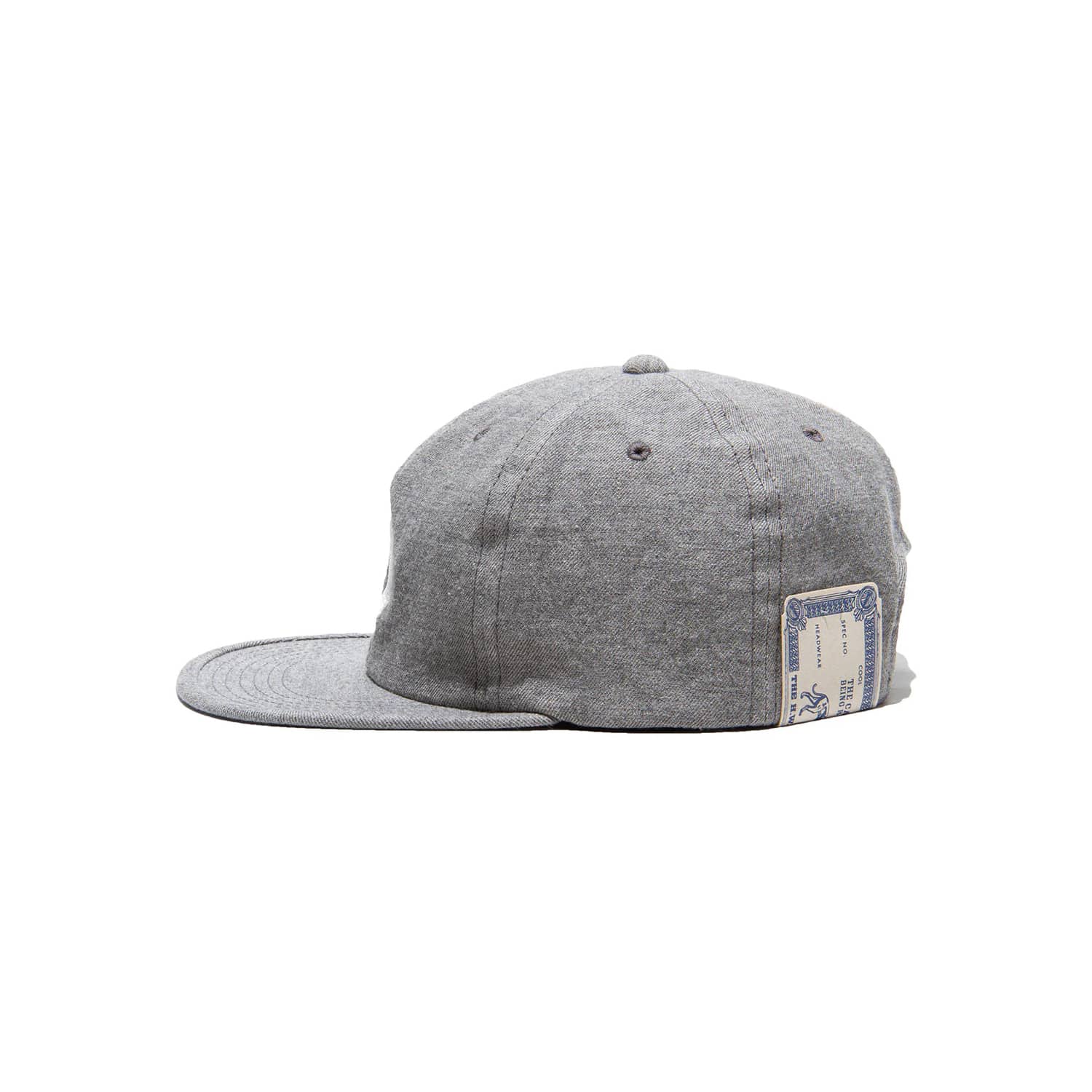 H.W. Dog & Co. Skate Cap Gray