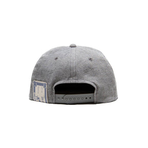 H.W. Dog & Co. Skate Cap Gray